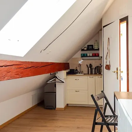 Stylish Loft In The Hearth Of Historic Centre 卢布尔雅那