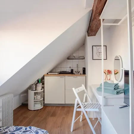 Stylish Loft In The Hearth Of Historic Centre * Lubiana