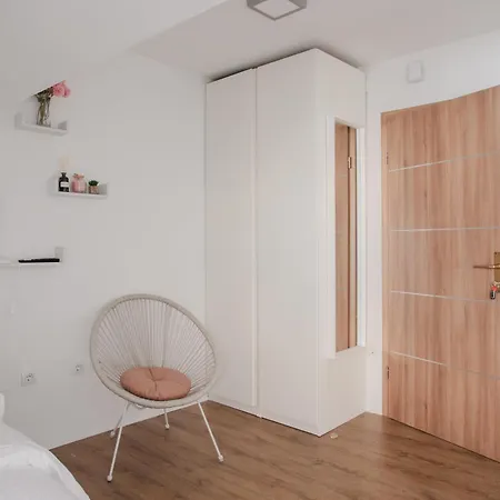 Stylish Loft In The Hearth Of Historic Centre 公寓 卢布尔雅那