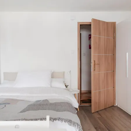 Stylish Loft In The Hearth Of Historic Centre 公寓 卢布尔雅那