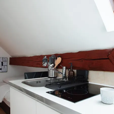 Stylish Loft In The Hearth Of Historic Centre * לובליאנה