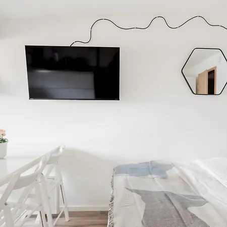 Stylish Loft In The Hearth Of Historic Centre 公寓 卢布尔雅那