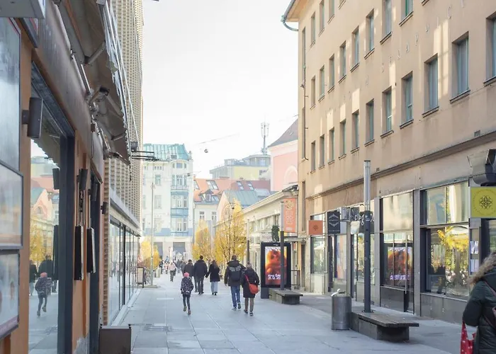 Stylish Loft In The Hearth Of Historic Centre דירה לובליאנה