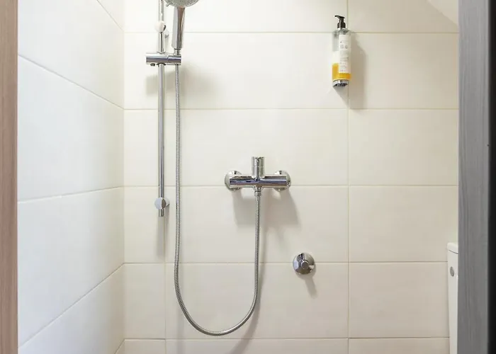 Stylish Loft In The Hearth Of Historic Centre Liubliana